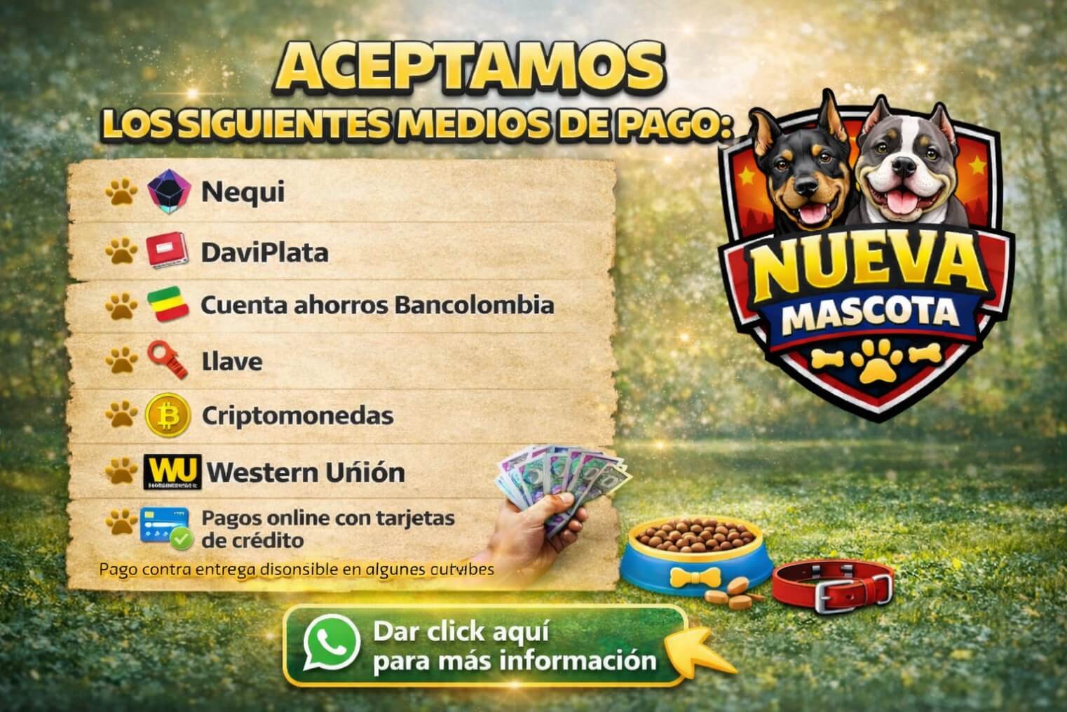 Pagos