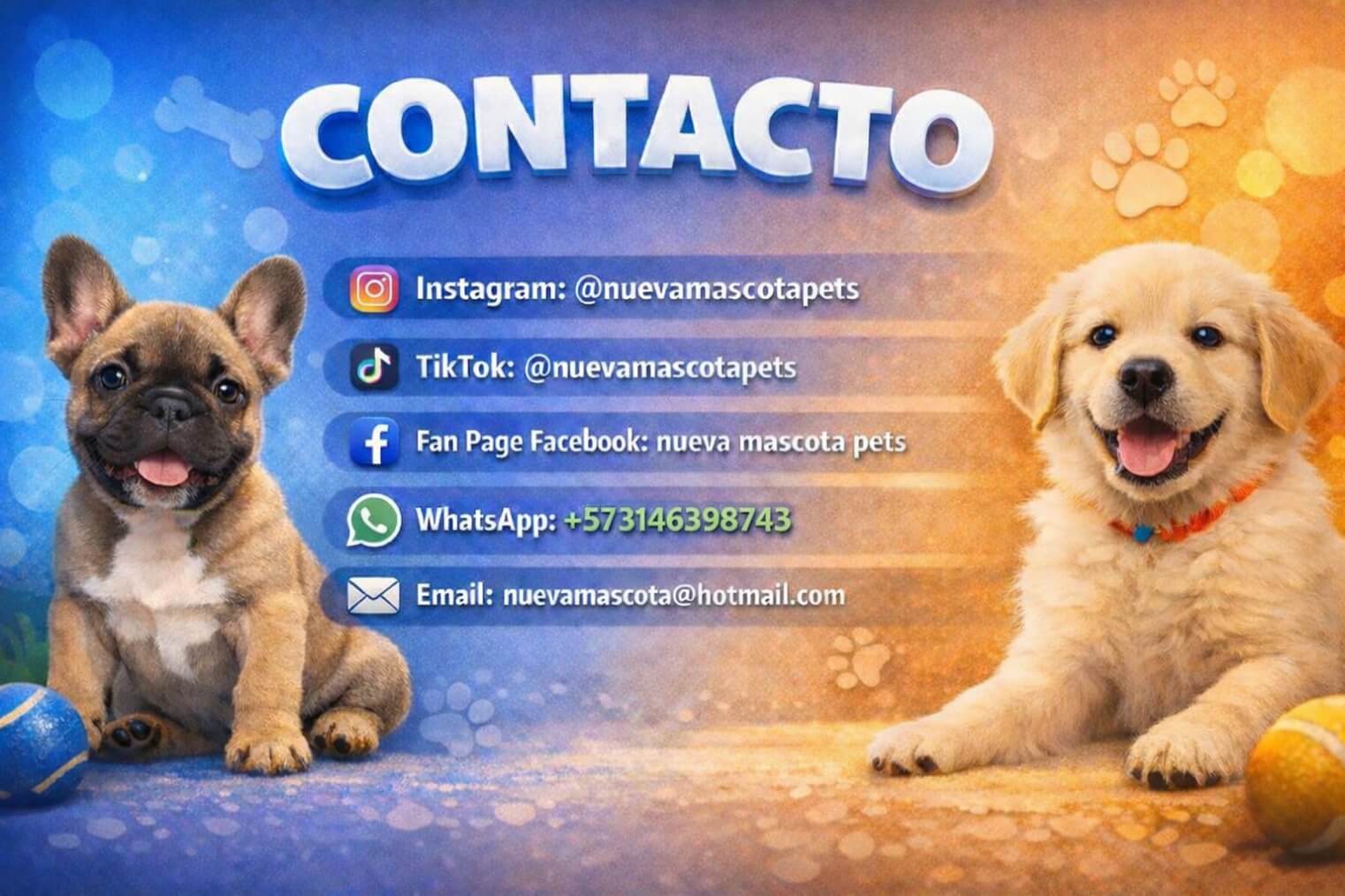 Contacto