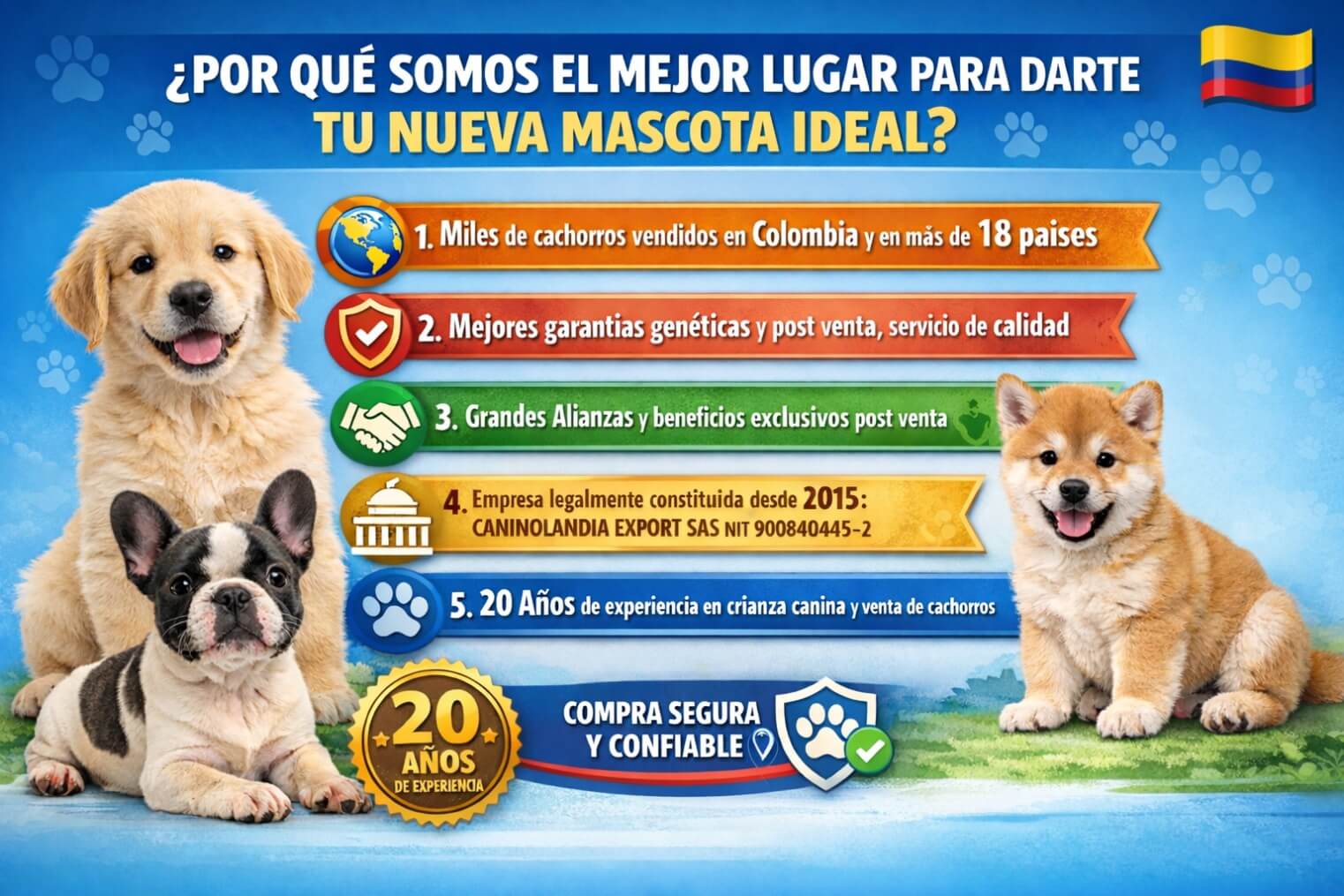 Promoción 2